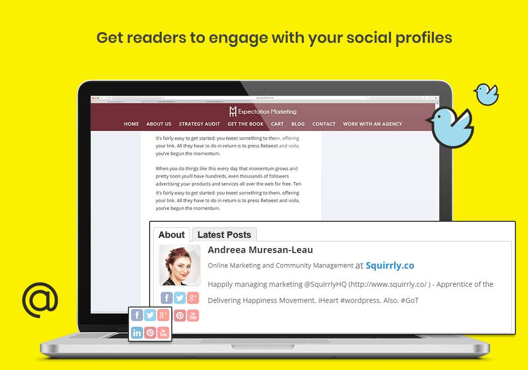 Starbox PRO - the Author Box for Humans - Image 5