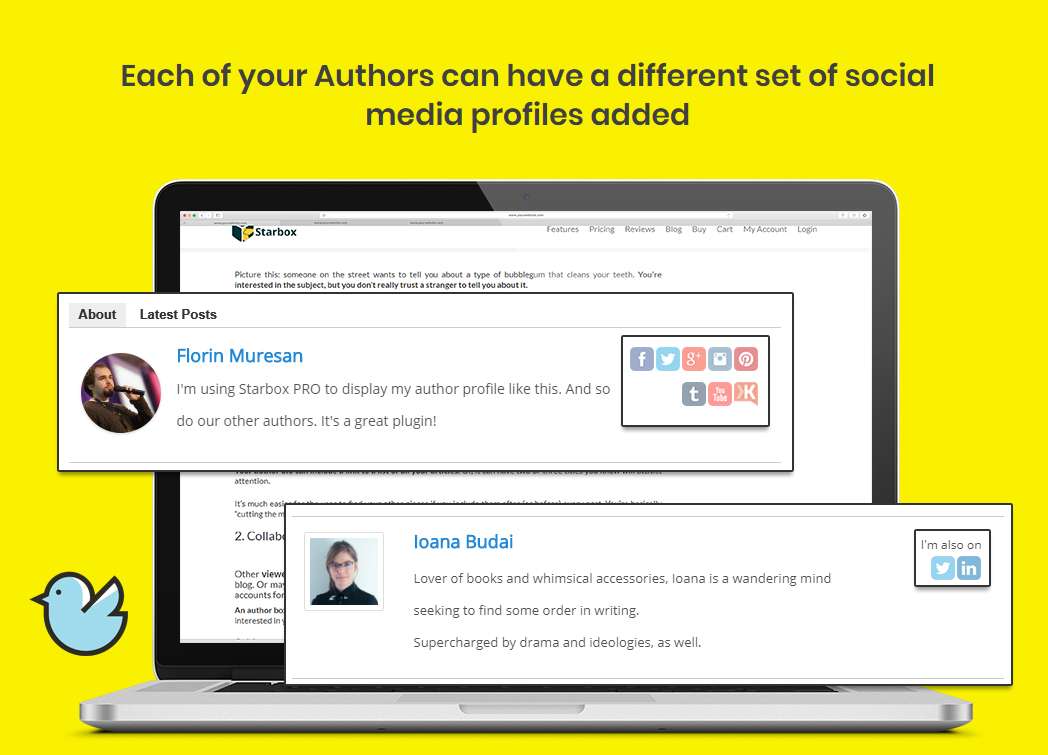 Starbox PRO - the Author Box for Humans - Image 9